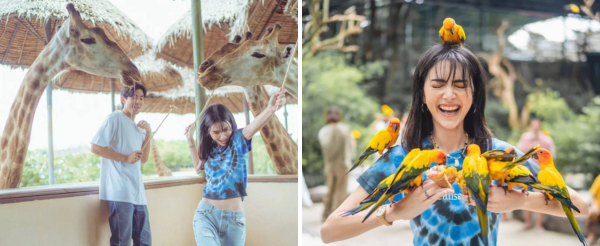 曼谷賽佛瑞動物園&海洋公園&園內表演秀→喬德夜市二擇一(城堡打卡 vs 拉差達探索小吃)