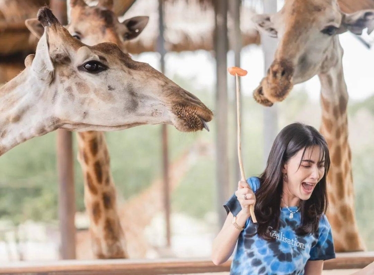 曼谷賽佛瑞動物園+互動表演秀 (包含長頸鹿餵食&拍照)→探索24小時不打烊~西姆蒙市場(熱帶水果、現烤河蝦、乾貨伴手禮)→必逛最新曼谷夜市Save One GO Market