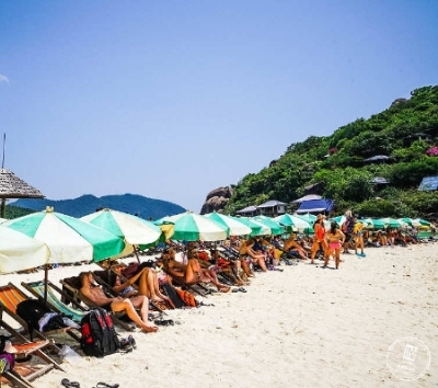 龜島+海鷗島出海一日遊→自由步行前往查文大街 ARK BAR 或 中央百貨公司(步行約五分鐘)