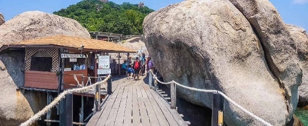 龜島+海鷗島出海一日遊→自由步行前往查文大街 ARK BAR 或 中央百貨公司(步行約五分鐘)