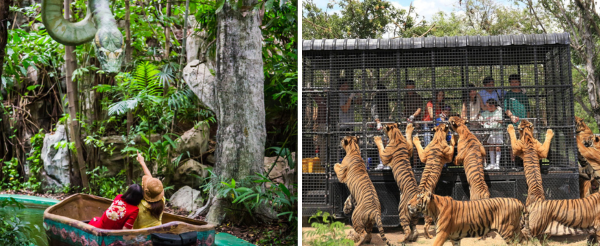 曼谷賽佛瑞動物園&海洋公園&園內表演秀→喬德夜市二擇一(城堡打卡 vs 拉差達探索小吃)