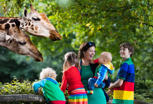 雙城親子趣。曼谷+芭達雅、全新水陸樂園、海豚表演秀、親子飯店、獨立包團五日遊 雙城親子趣。曼谷+芭達雅、全新水陸樂園、海豚表演秀、親子飯店、獨立包團五日遊