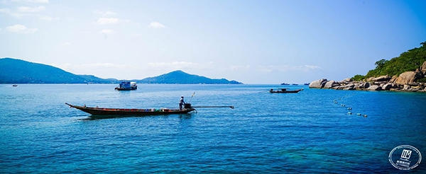 龜島+海甌島-浮潛、浮潛用具、午餐+飲料→國際酒店泰式料理 (啤酒、紅酒、或飲料任選一杯)