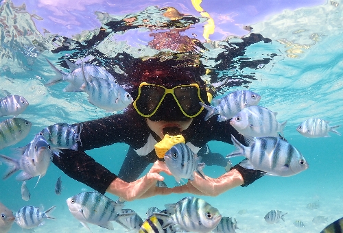 【獨家生態浮潛】芭達雅+邦盛五日遊。海鮮吃到飽、火舞秀酒吧、日式魚市場