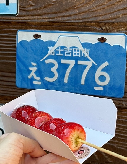 鄭王廟&泰服體驗→邦盛魚市場→芭達雅→酒店Check in→航站百貨＋BIG C伴手禮購買→夜遊步行街