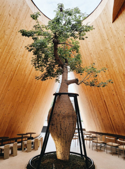 台北→曼谷→獲得多個國際大獎～黑色山形咖啡廳(現點現付)→飯店Check in→海鮮燒烤吃到飽